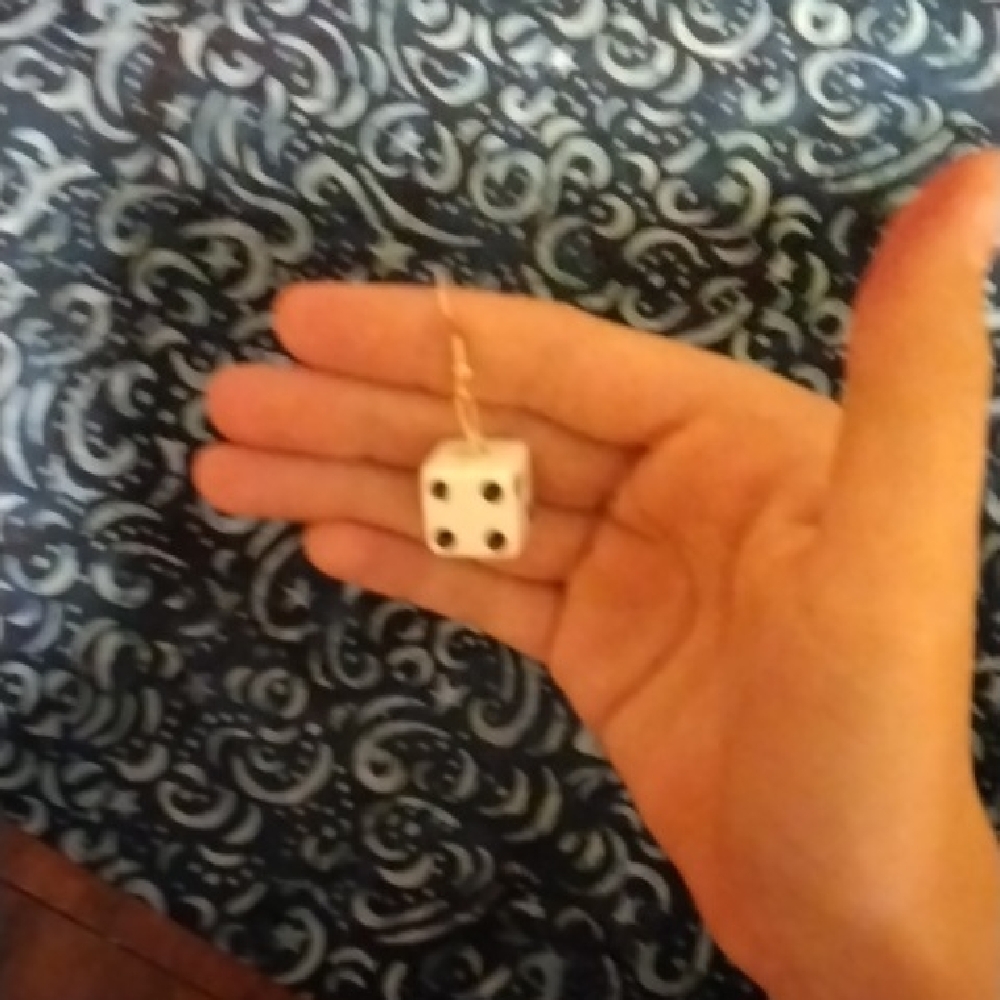 Classic White Dice Keychain